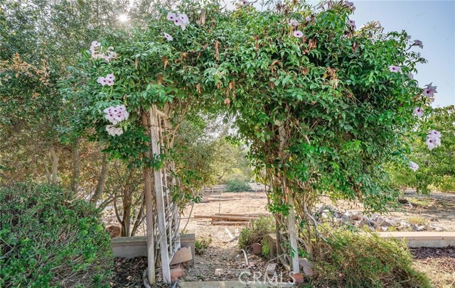 1581 Sycamore Drive, Fallbrook, California 92028, 4 Bedrooms Bedrooms, ,2 BathroomsBathrooms,Residential rental,For Sale,Sycamore Drive,TR24096970