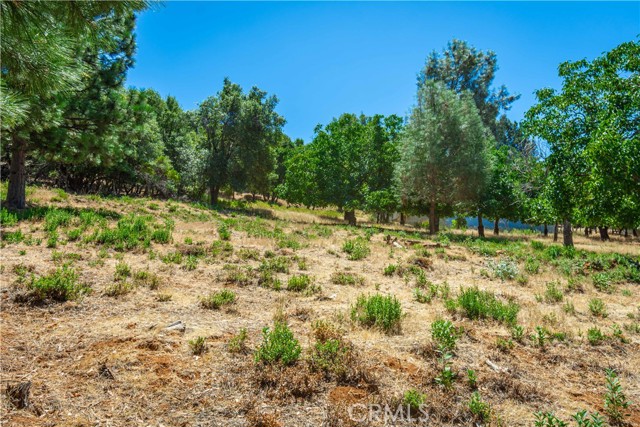 Detail Gallery Image 50 of 75 For 3126 Edgewood Drive, Kelseyville,  CA 95451 - – Beds | – Baths