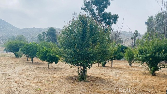 Detail Gallery Image 47 of 55 For 23711 California Ave, Hemet,  CA 92545 - 5 Beds | 3 Baths