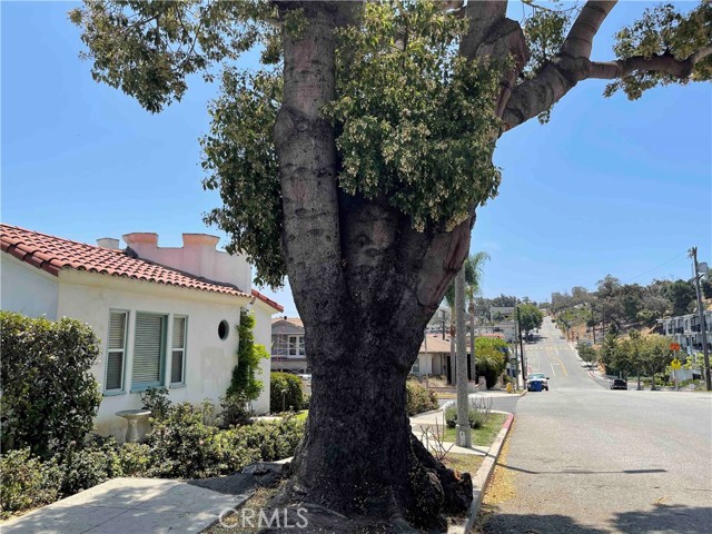 2938 Gaffey Street, San Pedro, California 90731, 3 Bedrooms Bedrooms, ,1 BathroomBathrooms,Residential Purchase,For Sale,Gaffey,SB21257943