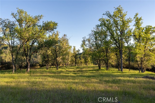 Detail Gallery Image 45 of 47 For 4250 Vista Del Lago, Santa Margarita,  CA 93453 - 3 Beds | 3 Baths