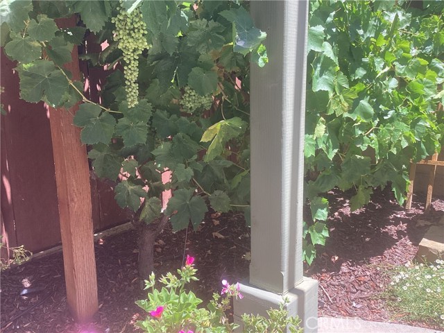2757 Traditions, Paso Robles CA: https://media.crmls.org/medias/709745b1-ce22-4d9f-b20e-8a9750e9fc7b.jpg