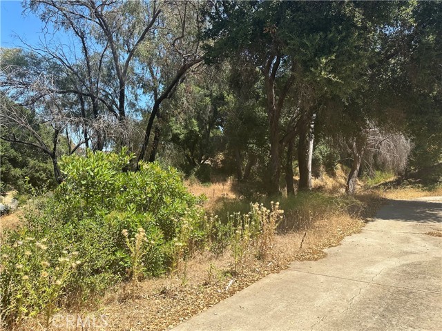 Detail Gallery Image 34 of 41 For 30100 Mulholland, –,  CA 91301 - – Beds | – Baths