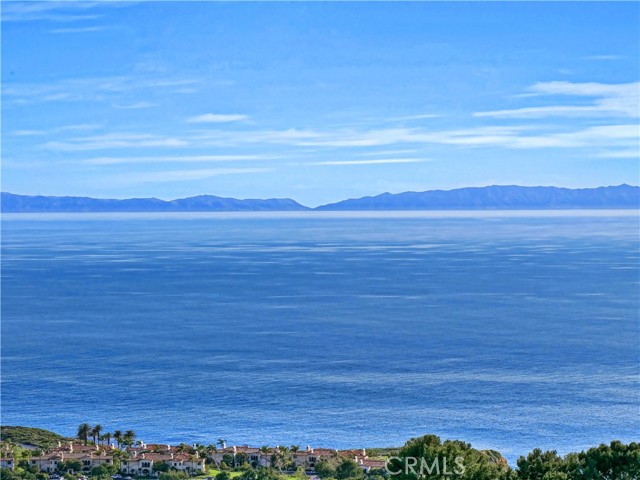 Catalina Close Up