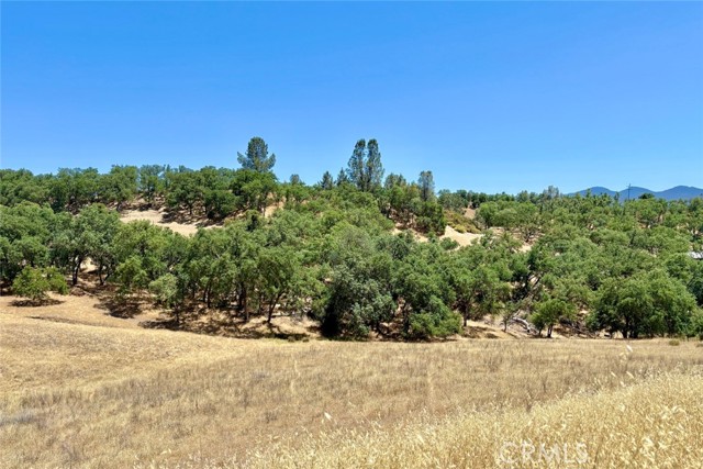 Detail Gallery Image 3 of 16 For 76310 Bryson Hesperia Rd, Bradley,  CA 93426 - – Beds | – Baths