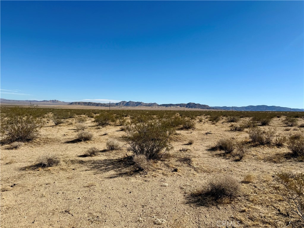 MLS #JT25208342 image #14