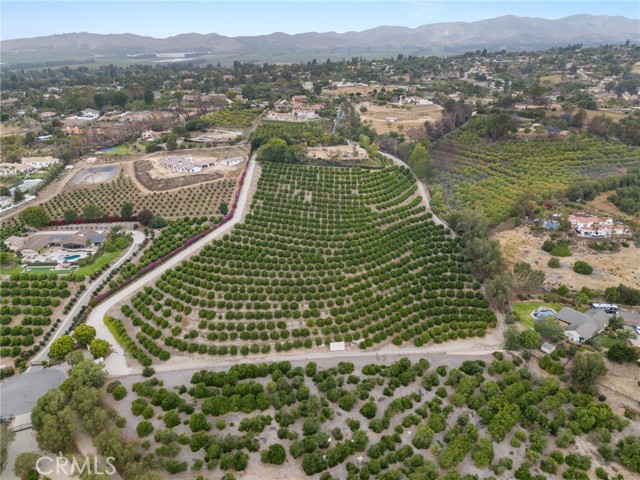 25 Encino Avenue, Camarillo CA: https://media.crmls.org/medias/70ae4445-3717-4c8f-94de-d1bcbdaba83f.jpg