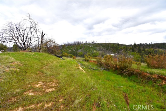 Detail Gallery Image 16 of 46 For 321 Long Point Rd, Oroville,  CA 95966 - – Beds | – Baths