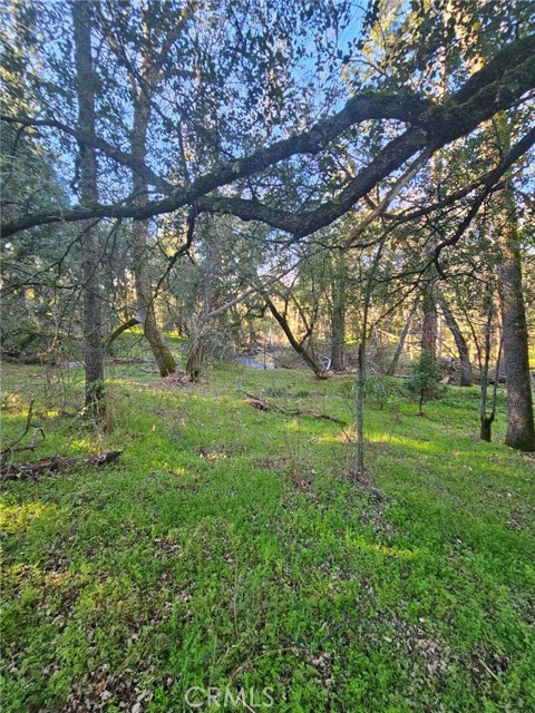 Detail Gallery Image 5 of 16 For 8 Ac Road 225, North Fork,  CA 93643 - – Beds | – Baths