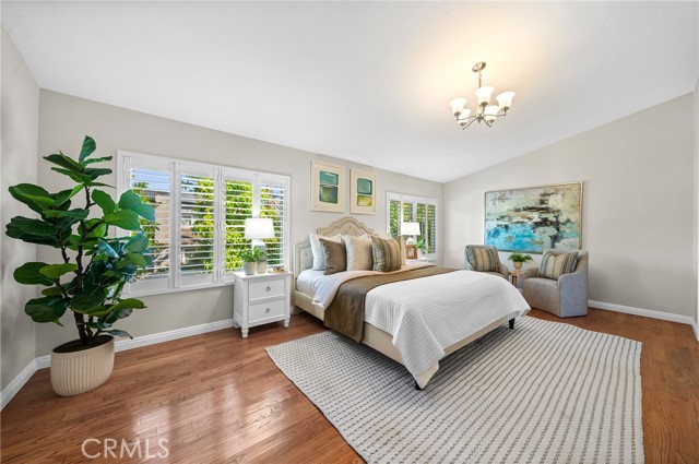 Image 16 of 42 For 6 Blazing Star