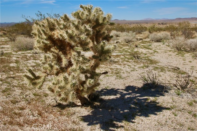 65600 Twentynine Palms, Joshua Tree, California 92252, ,Land,For Sale,65600 Twentynine Palms,CRJT22157936