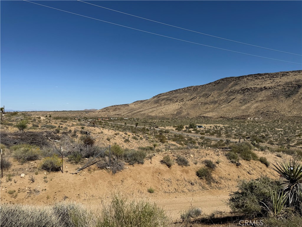 MLS #JT25103946 image #6