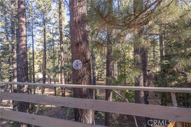 43320 Sand Canyon, Big Bear Lake, CA 92315