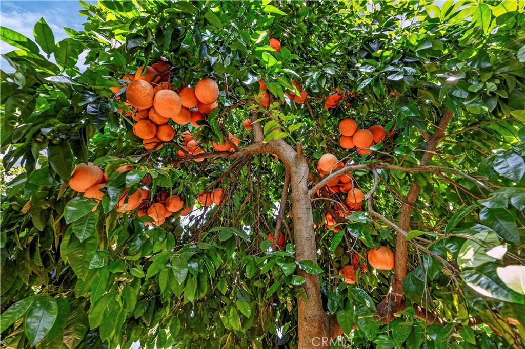 https://media.crmls.org/medias/70e2b27c-b338-4c28-b830-3dadbe634f4b.jpg?preset=X-Large
