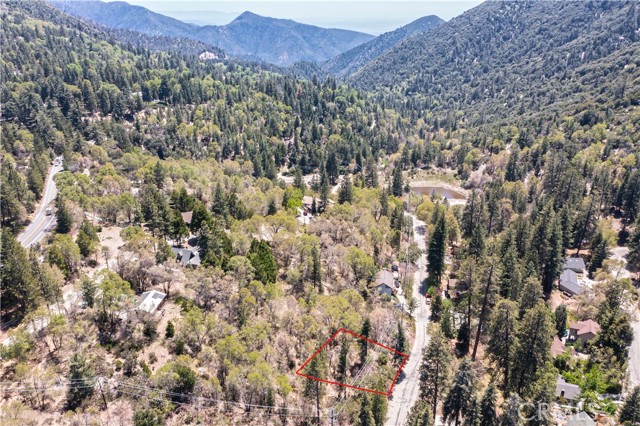 6011 Mountain Home Creek Road, Angelus Oaks, California 92305, ,Land,For Sale,6011 Mountain Home Creek Road,CREV23173509