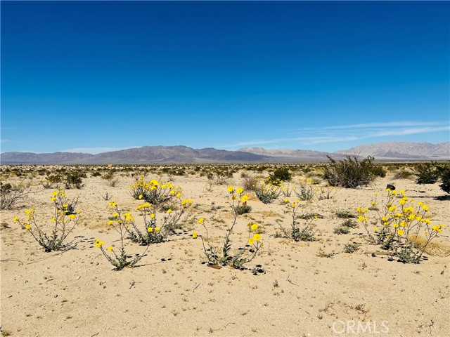 29 Palms, CA 92277