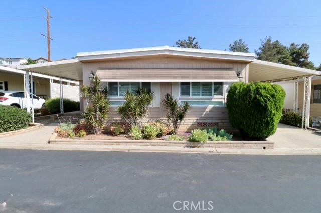 Front Image Thumbnail for CROC25237648