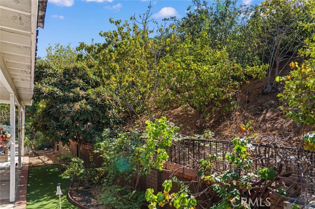 24168 Avenida Rancheros photo 51