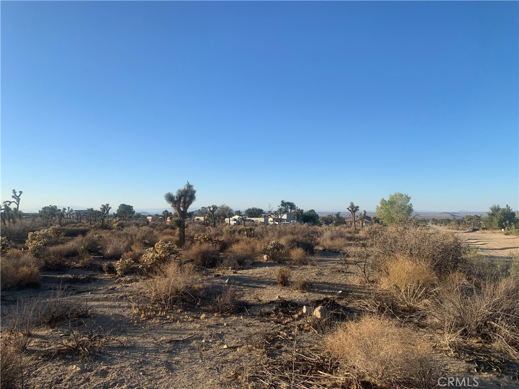 0 Mountain Road, Pinon Hills, CA 92372