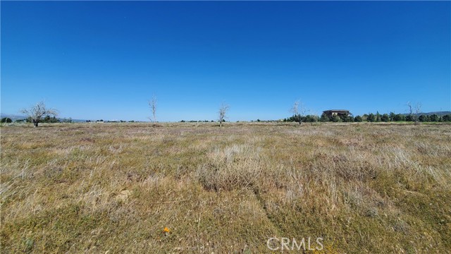 Detail Gallery Image 7 of 24 For 0 263rd St West North of Ave C13, –,  CA 93536 - – Beds | – Baths