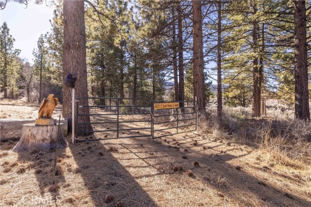 Detail Gallery Image 6 of 31 For 1110 Central, Big Bear City,  CA 92314 - – Beds | – Baths