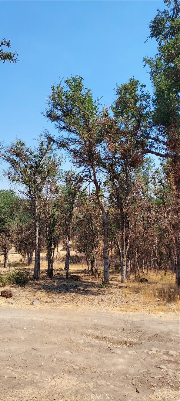 16034 13th Avenue, Clearlake CA: https://media.crmls.org/medias/710fa065-4158-439d-b99e-0e6cee2a072d.jpg