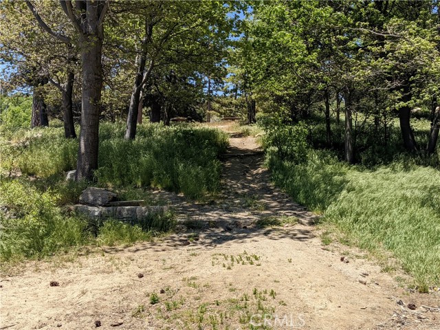 Detail Gallery Image 30 of 35 For 324 N324- Single Slip Dock, Lake Arrowhead,  CA 92352 - 0 Beds | 0 Baths