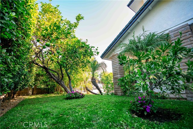 Detail Gallery Image 18 of 19 For 21058 Schoenborn St, Canoga Park,  CA 91304 - 4 Beds | 3 Baths