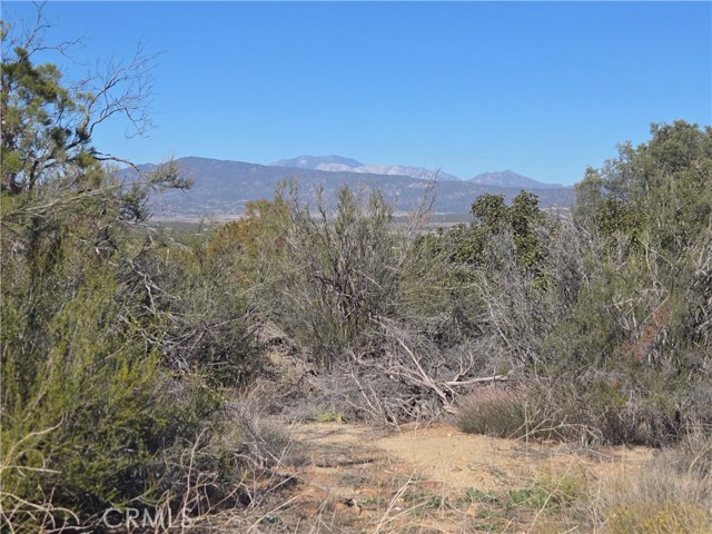 Front Image Thumbnail for CRSW25248553