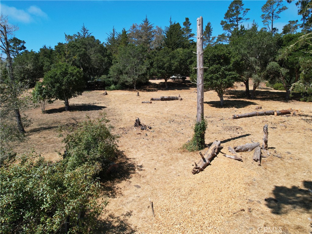 MLS #NS25177851 image #4