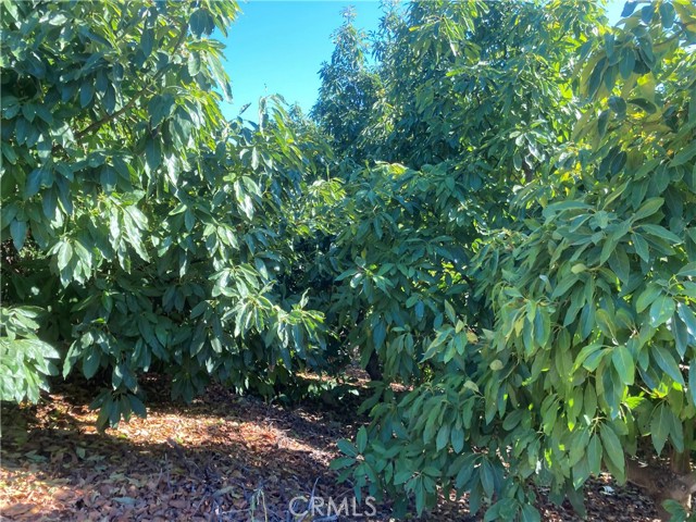 MLS# SW23143640