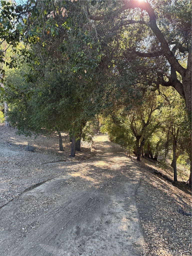 MLS #OC25262578 image #15