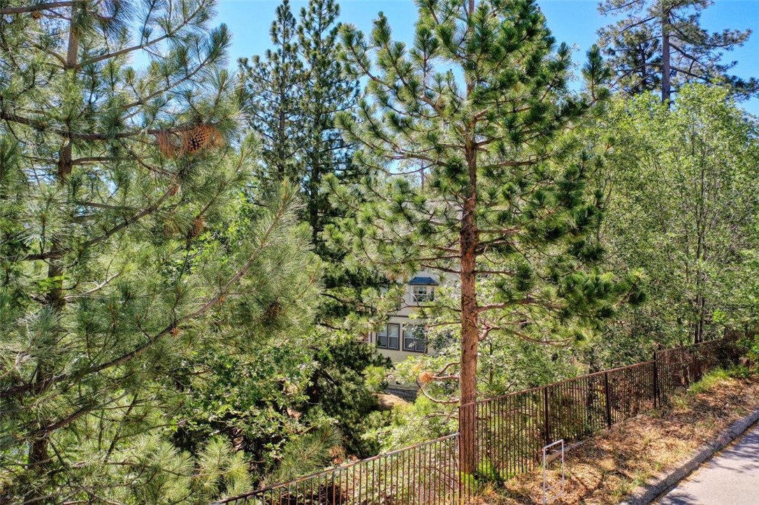 Detail Gallery Image 11 of 19 For 0 Emerald Dr, Lake Arrowhead,  CA 92352 - – Beds | – Baths