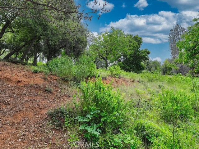 Detail Gallery Image 5 of 11 For 3218 Skyline Dr, Kelseyville,  CA 95451 - – Beds | – Baths