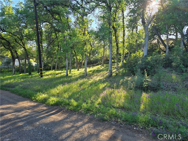 Front Image Thumbnail for CRLC26218764