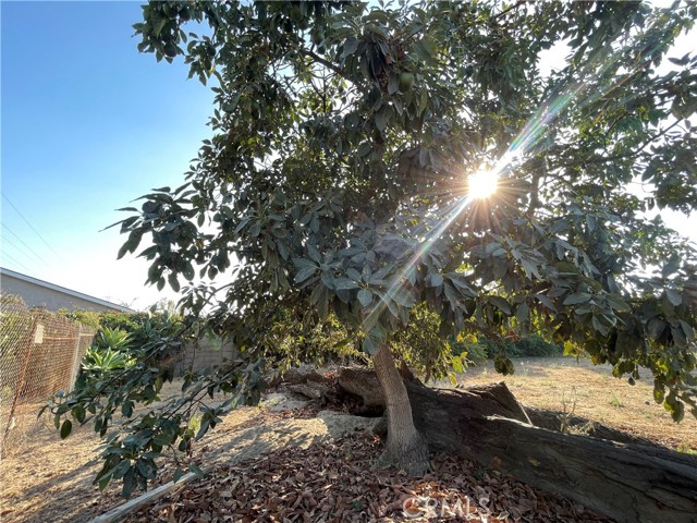 Detail Gallery Image 38 of 42 For 7432 Main St, Westminster,  CA 92683 - 4 Beds | 3 Baths