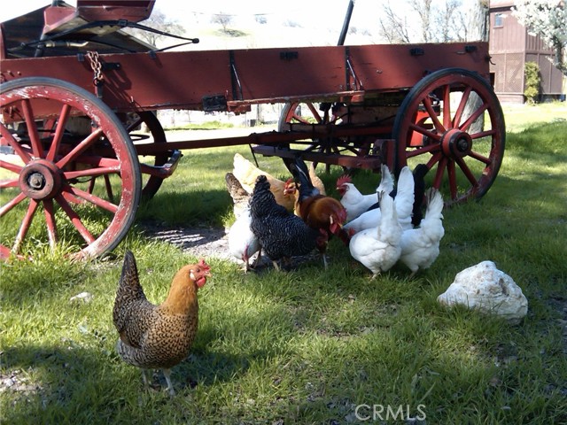 Image 15 of 24 For 3470 Ranchita Cyn Rd