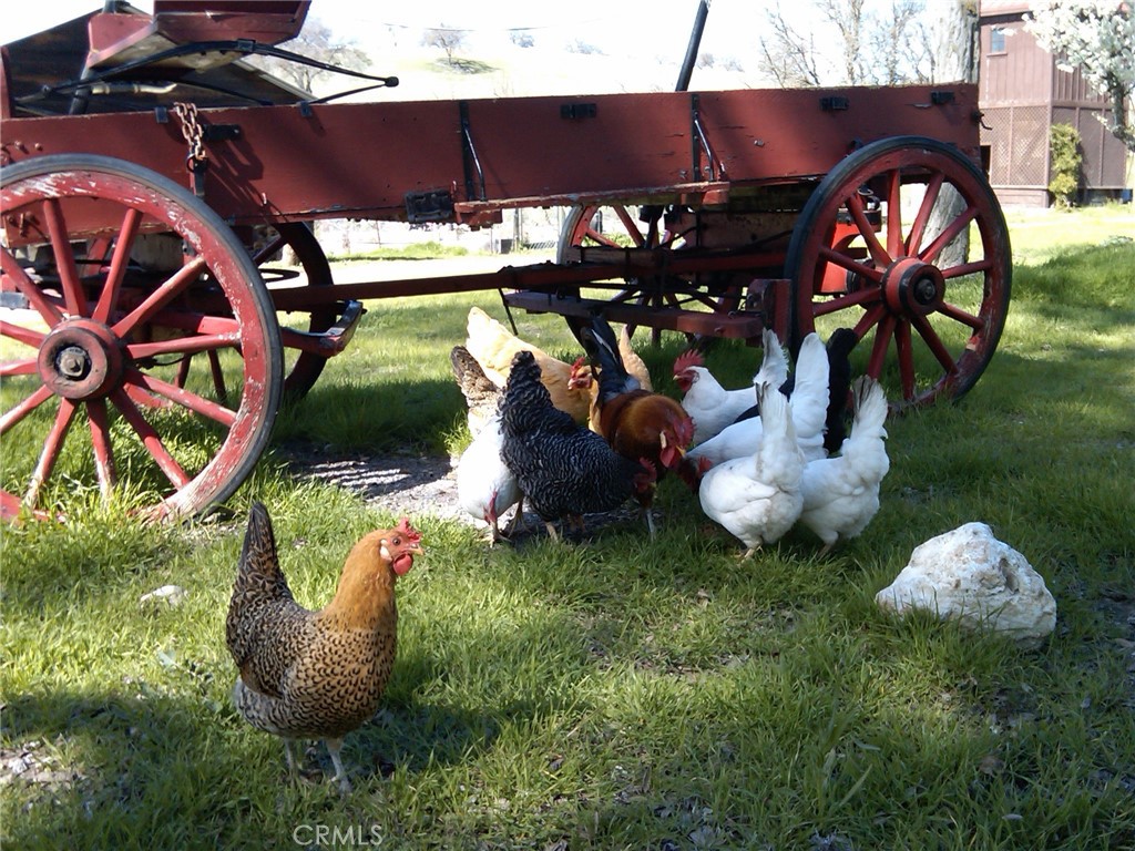 MLS #NS25280666 image #15