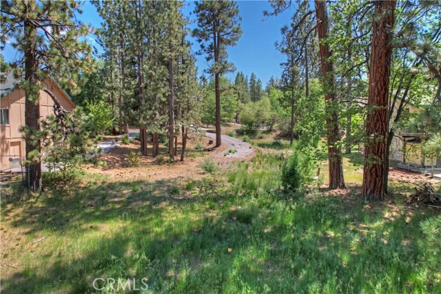 Detail Gallery Image 10 of 13 For 1239 Alpenweg, Big Bear Lake,  CA 92315 - – Beds | – Baths