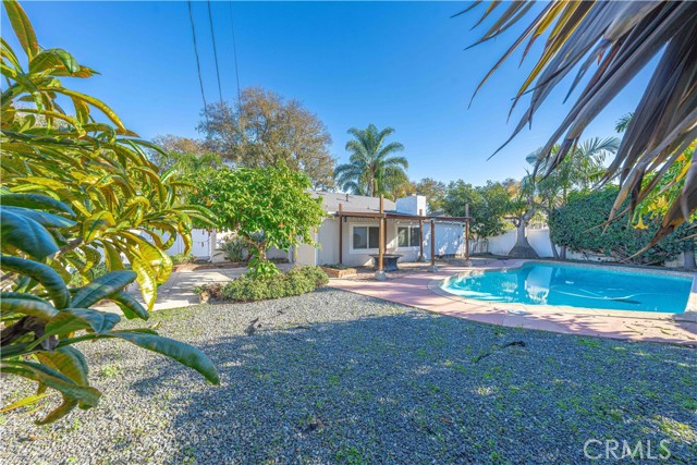 Front Image Thumbnail for CROC25260204