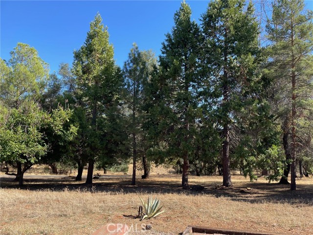 Detail Gallery Image 13 of 18 For 9275 Sheep Ranch Rd, Mountain Ranch,  CA 95246 - 3 Beds | 2 Baths