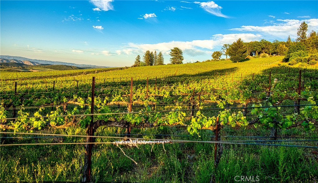 https://media.crmls.org/medias/714644a2-c950-4019-a09d-b5c5420403d5.jpg?preset=X-Large