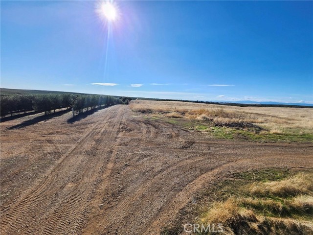 Detail Gallery Image 4 of 22 For 0 087-250-008-000, Corning,  CA 96021 - – Beds | – Baths