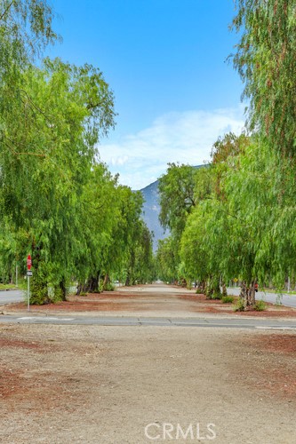 Detail Gallery Image 35 of 38 For 1346 N Euclid Ave, Upland,  CA 91786 - – Beds | – Baths