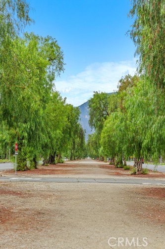 MLS #CV25237928 image #34