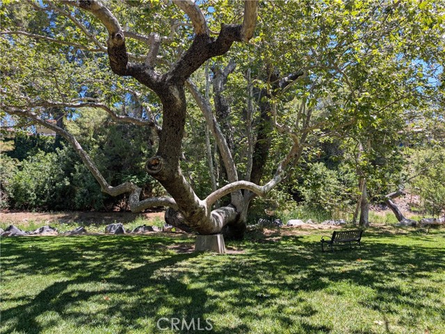 Detail Gallery Image 30 of 32 For 188 Avenida Majorca a,  Laguna Woods,  CA 92637 - 2 Beds | 2 Baths