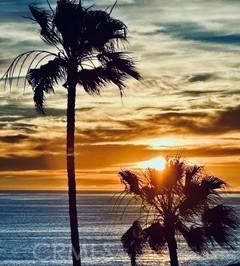 Detail Gallery Image 20 of 49 For 4216 Ocean, Manhattan Beach,  CA 90266 - 2 Beds | 3 Baths