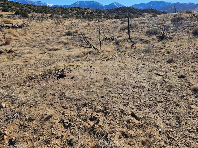 Detail Gallery Image 2 of 2 For 6 128th, –,  CA 93543 - – Beds | – Baths