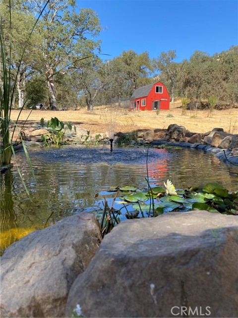 29503 Spence Lane, Tollhouse CA: https://media.crmls.org/medias/714e9074-64a7-4954-aff8-d752836e8a92.jpg