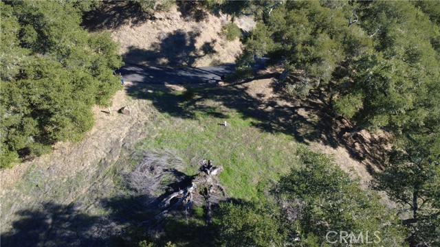 Detail Gallery Image 11 of 11 For 0 El Monte, Templeton,  CA 93465 - – Beds | – Baths